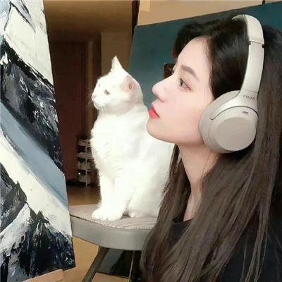 接线追缉